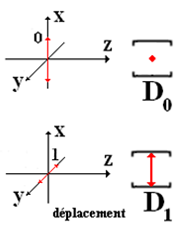 Détection d'un photon polarisé x ou y