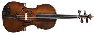 Violon