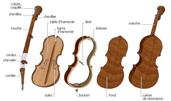 Vue éclatée d'un violon moderne