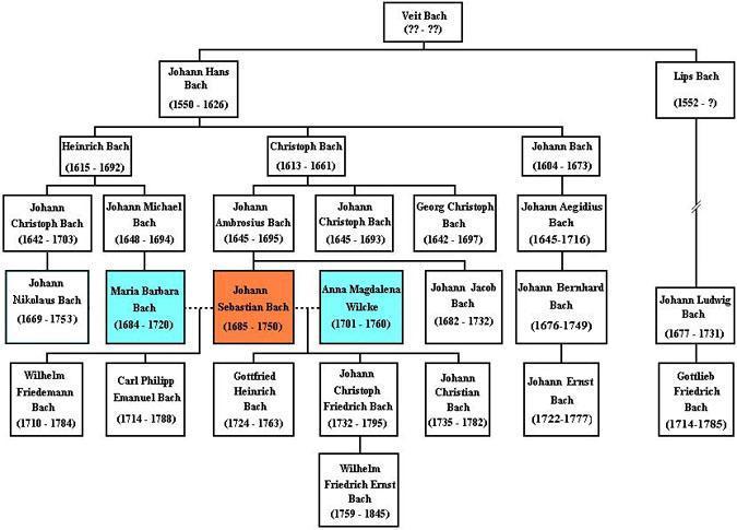 Arbre généalogique élagué de la famille Bach